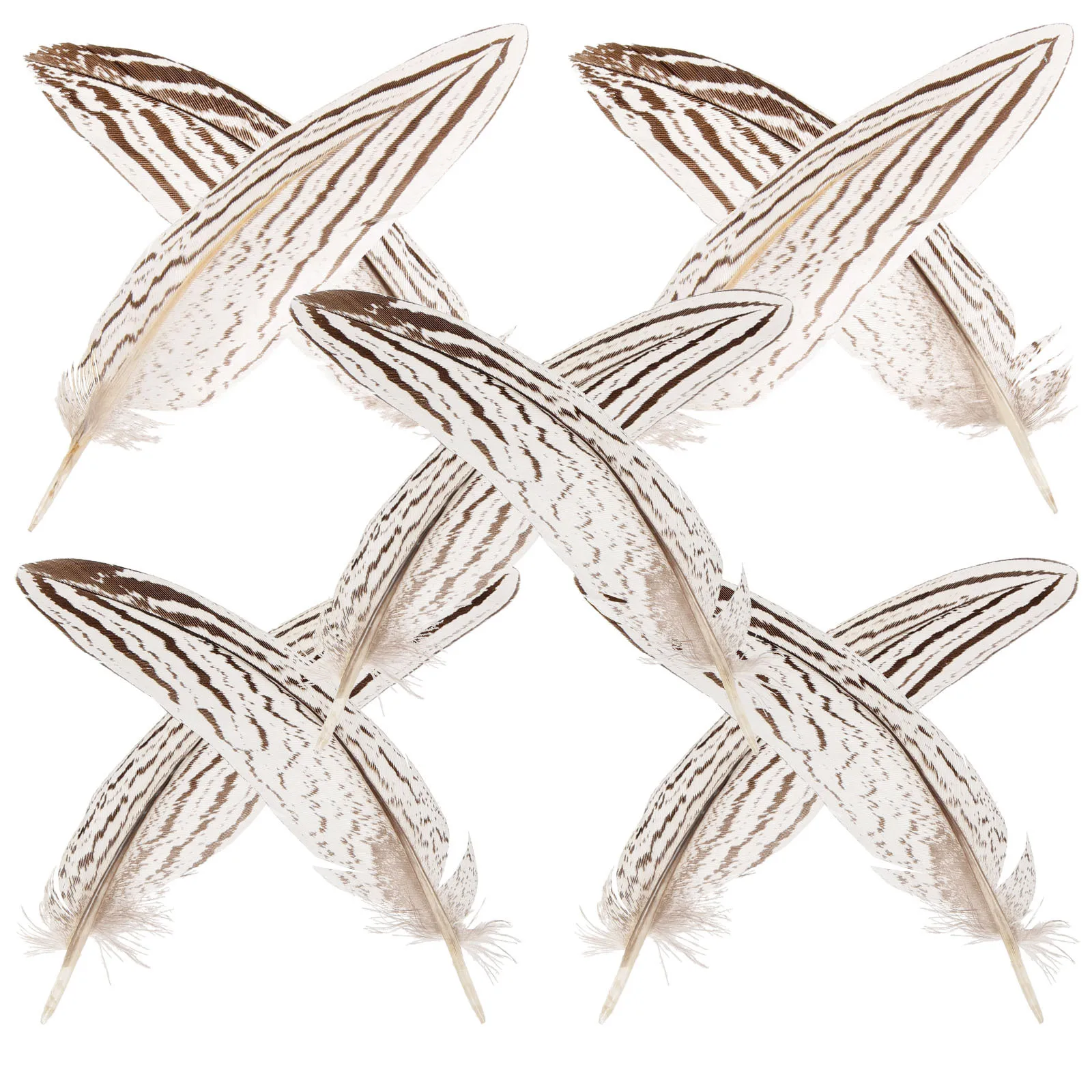 

10Pcs Natural Silver Plumes Crafts Natural Plumage for Wedding Party Decorations DIY Dream Catcher Supplies Floral