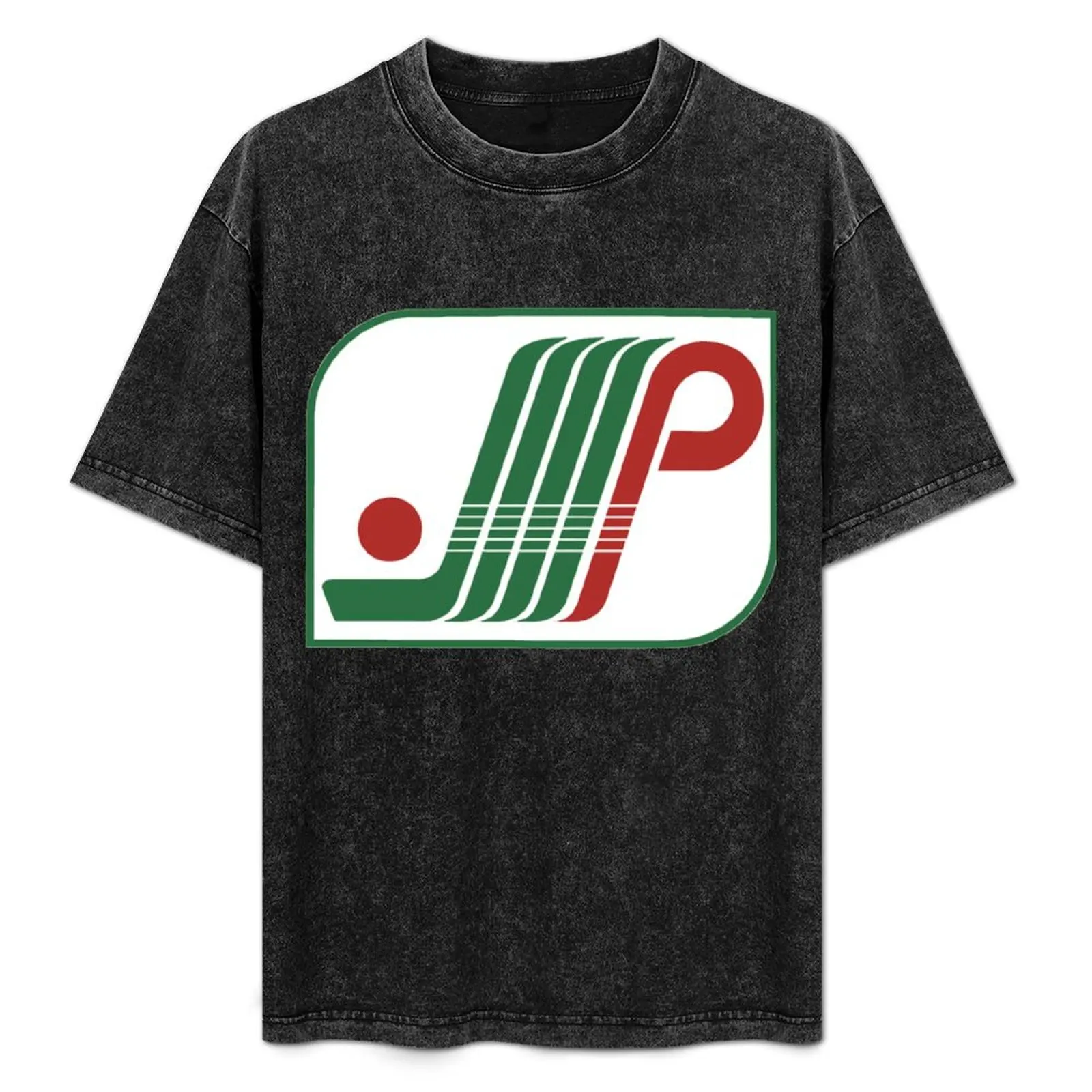 

Plattsburgh Pioneers T-Shirt Streetwear Print Tee Shirt