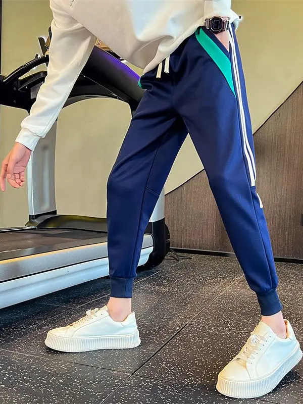 

Мужские повседневные брюки премиум-класса, осенние, в полоску, цветные, облегающие, спортивные, в стиле харлан, молодежные, модные, укороченные (9/10 длины), спортивные штаны