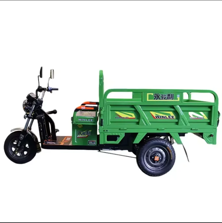 2024 Factory High Speed 600kg Loading Capacity 3 wheel Electric Tricycle for cargo High Quality