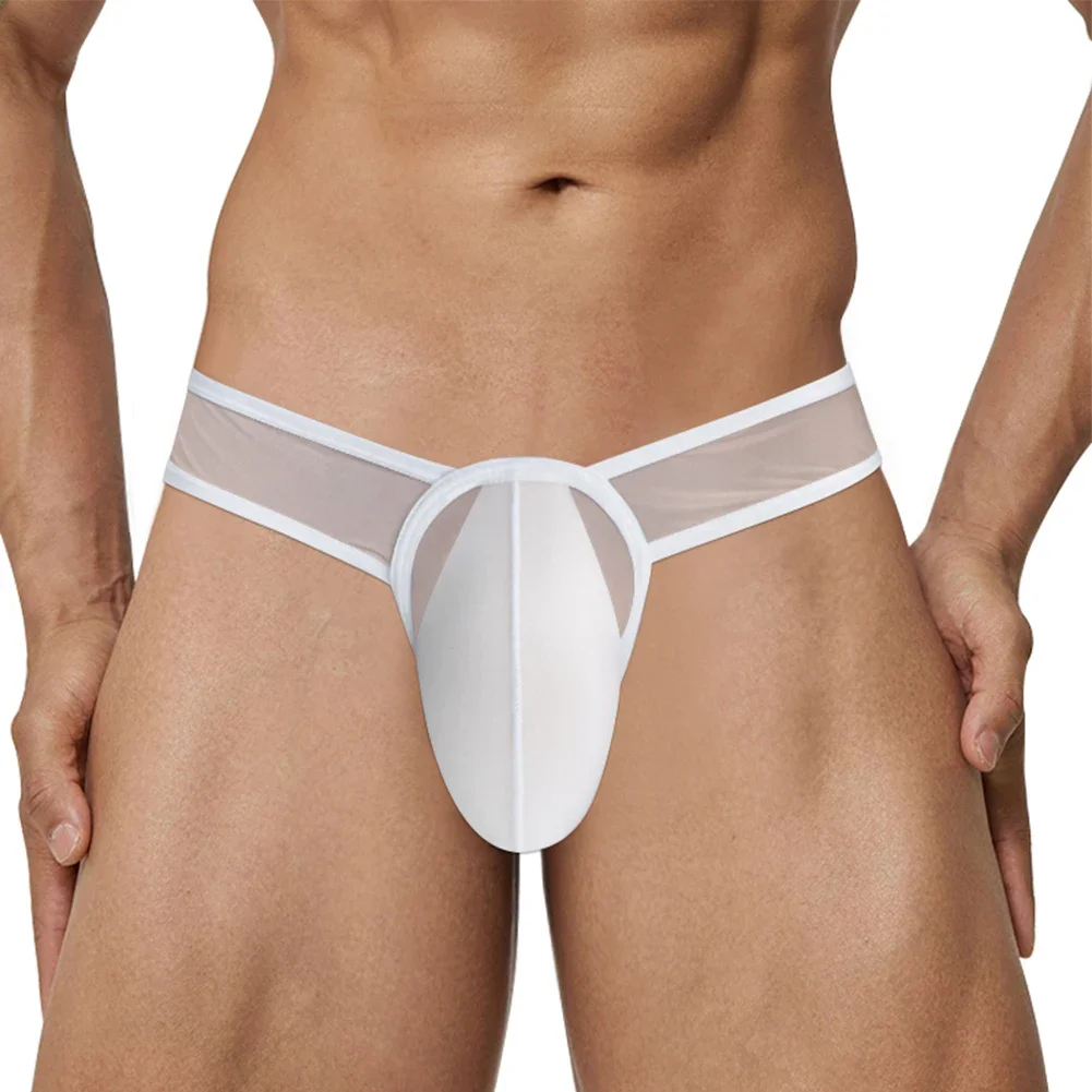 Slip taille basse en maille transparente pour homme, sous-vêtement sexy, bikini en poudre