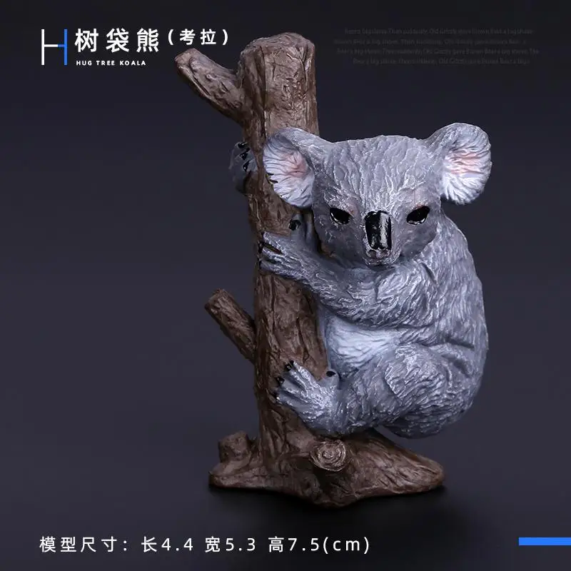 Simulatie Wilde Beeldjes Zwarte Beer Wombat Wasbeer Model Actiefiguren Bosdieren Speelgoed Woondecoratie Kinderen Onderwijs