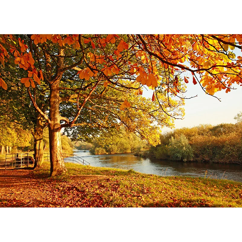 Fondo de fotografía con paisaje Natural, telón de fondo con diseño de bosque, río, viaje, accesorios de estudio, 21929 BNM-02