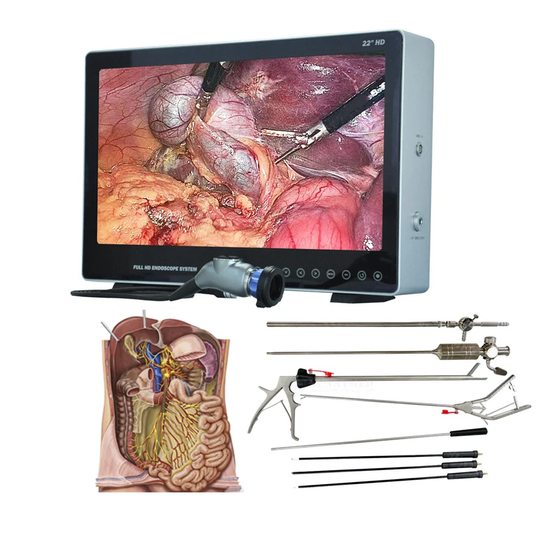 PS050 Full HD Endoscope Camera  Endoscopy Rigid Endoscope For Medical Student Practice And hospital Surgery Endoscope