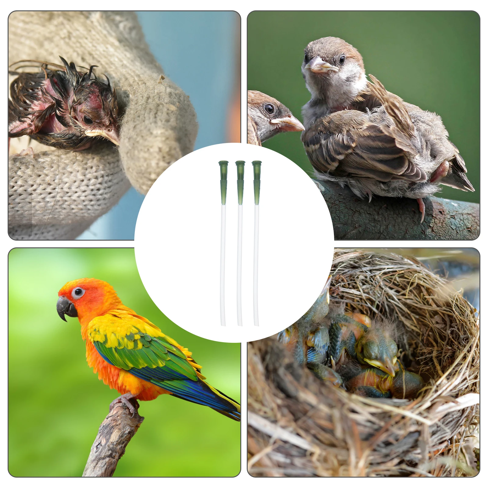 

Small Bird Feeding Tube 15mm-20mm Soft Hose Pet Gavage Accessories Food Grade Material Safe Environmentally Friendly Birds