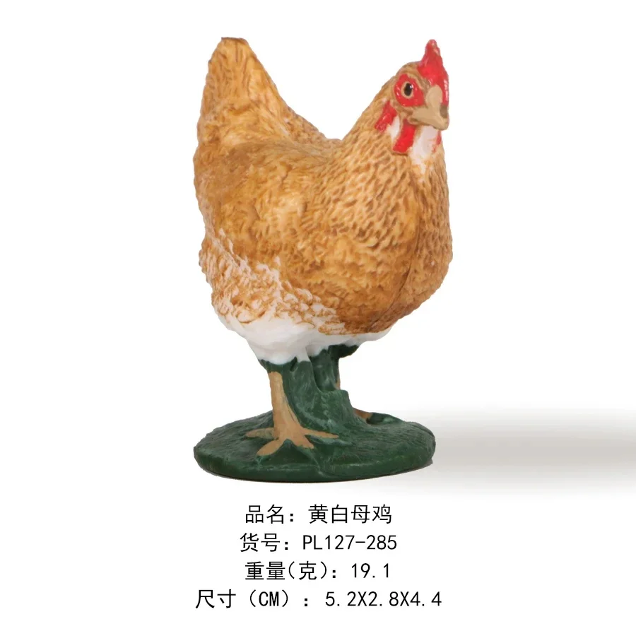 Modèle Cycle De Vie De La Poule – 4 Figurines éducatives – Œuf, éclosion, Poussin, Poule – Jouet PVC 3 Ans+