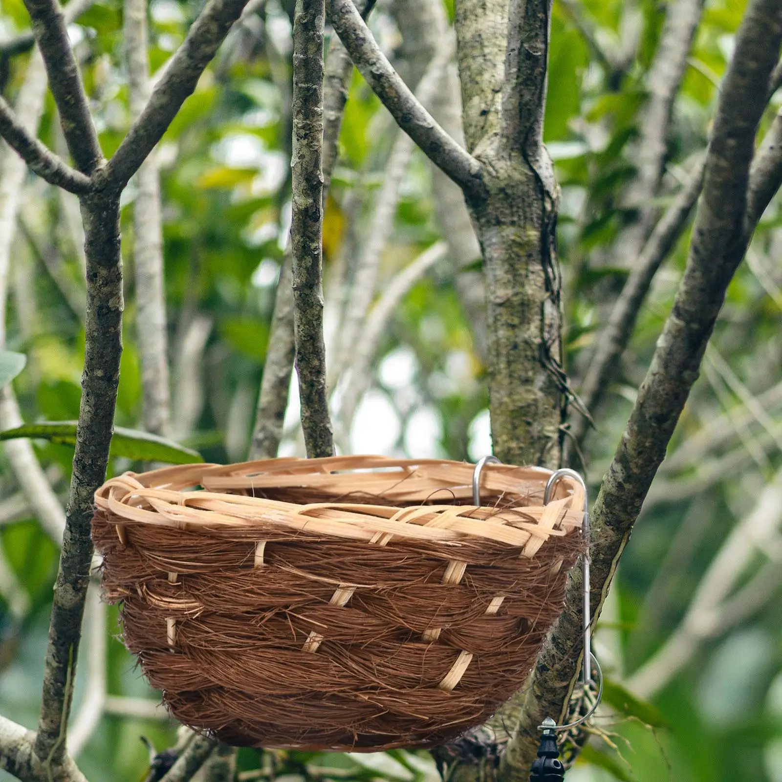 Bird House Roosting Resting Place Nesting Handwoven Bamboo Bird Nest Hanging Hut for Lovebird Cockatiel Wrens Sparrows Robins