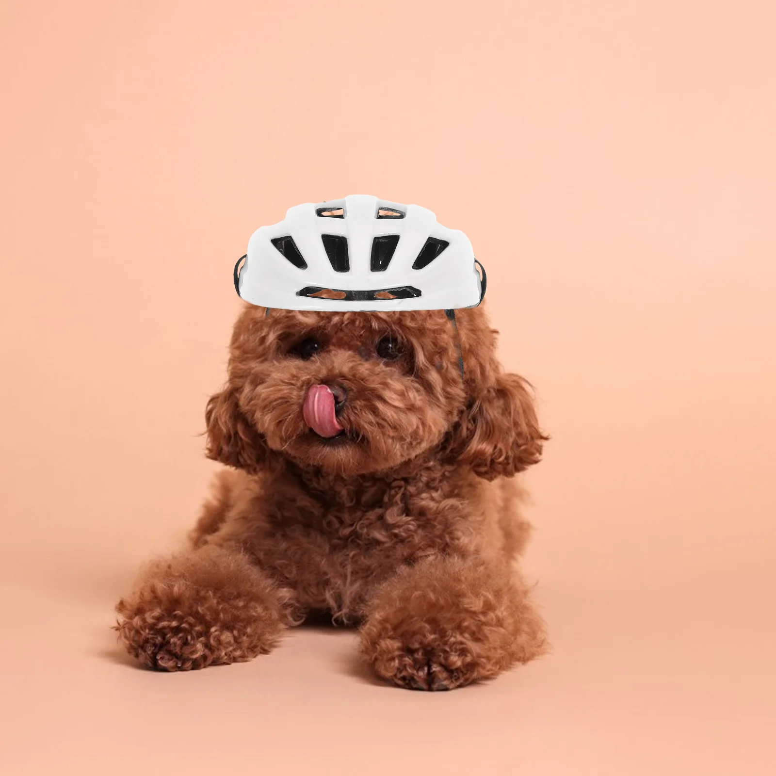 

Adjustable Strap Headgear Small Medium Large Dogs Comfortable Outdoor Riding Hiking Sturdy Abs Material Protective Puppy Pet