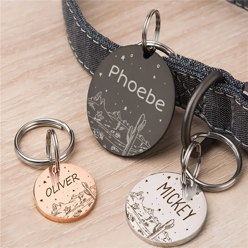 Personalized Cat Dog ID Tag Desert Stars with Cute Cactus Engraved Front and Back for Custom Pets Collar Anti-Lost Metal Charm