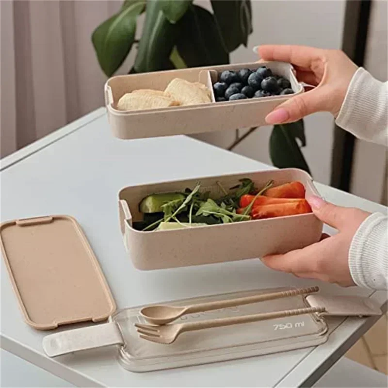 Simple Designed Lunch Box with Chopsticks and Spoons Microwave Safe Lunch Food Container Bento Box Leakproof Lunch Container