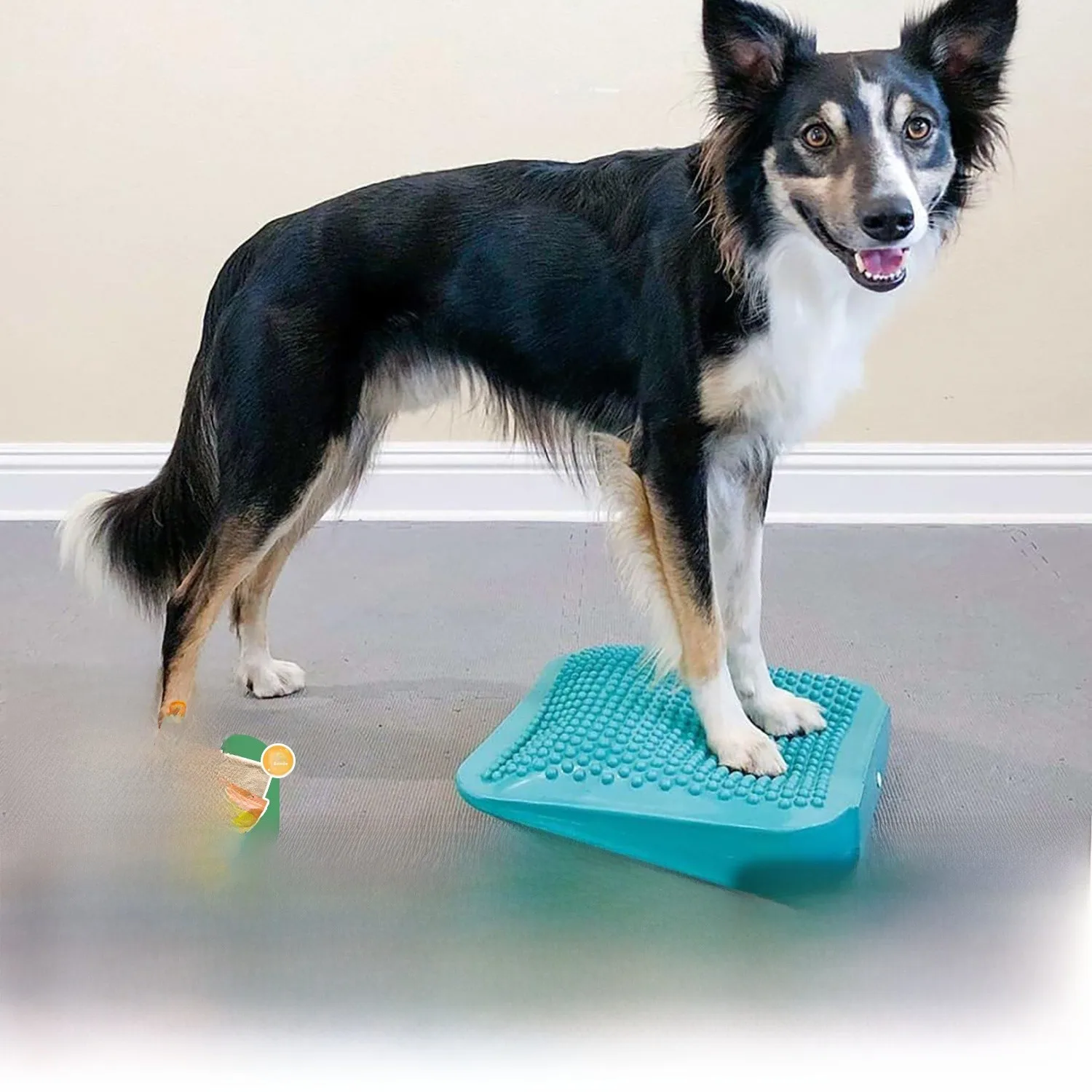 Bola Inflável para Cães com Rampa de Fitness, Auxílio para Transferência de Peso Muscular, Auxílio para Treinamento e Recuper...