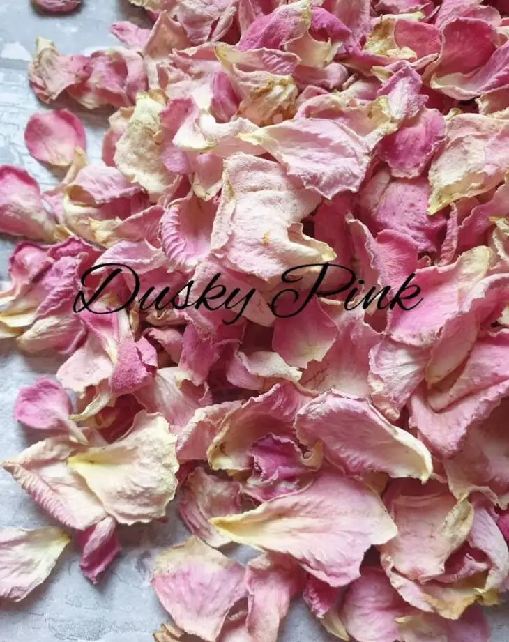 Imagem -05 - Confetti Bolsas e Dama de Honra Bolsa de Rosa Seca Faça Você Mesmo Rosa Branco Neve Preenchimento Não Real Pétalas 25 Pcs