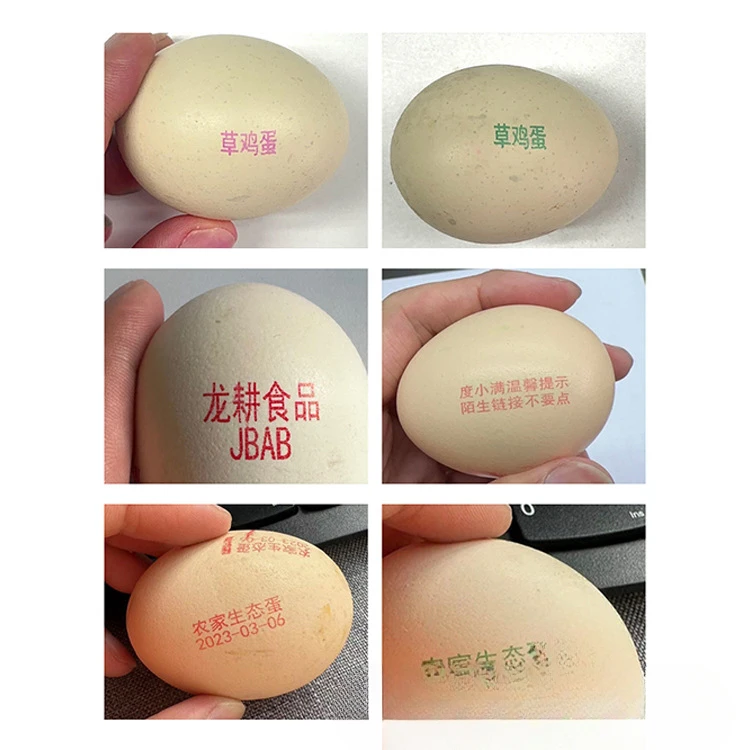 Exclusive for Cross-Border Automatic Small Egg Duck Egg Coding Machine Edible Ink Eggs Inkjet Printer