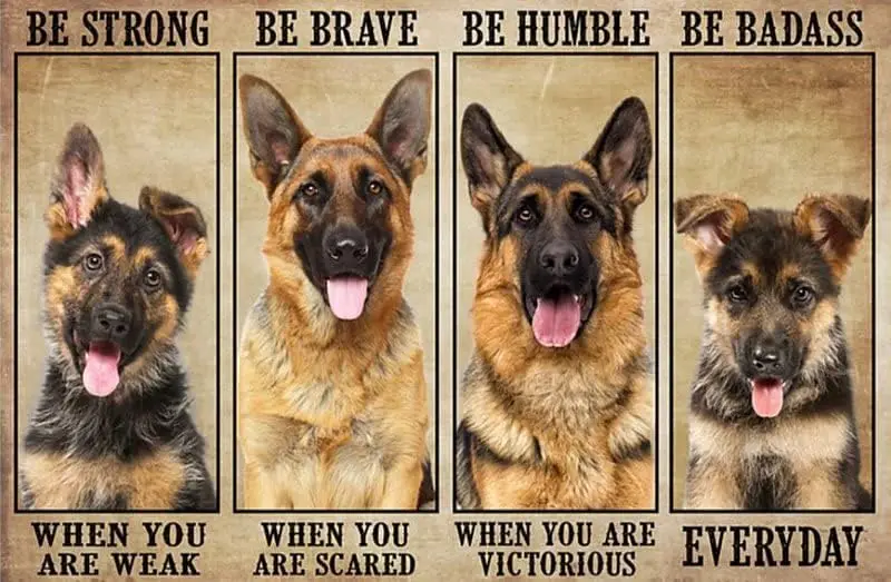 HERYNLRN Metal Tin Sign Vintage German Shepherd Dog Be Strong When You are Weak Scared Home Bar Decor