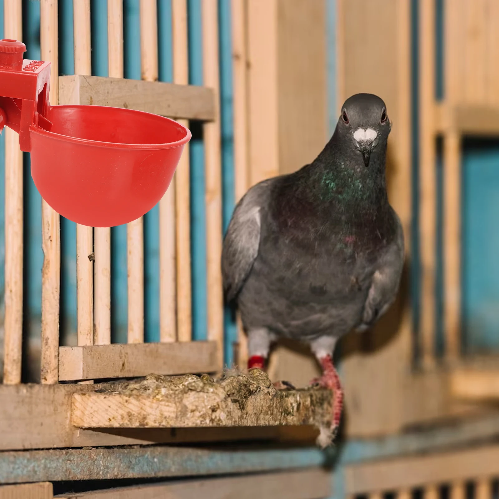 

30Pcs Automatic Drinking Fountain Adjustable Bird Waterer Durable ABS Chicken Pigeon Quail Poultry Water Cups Pigeon Drinker