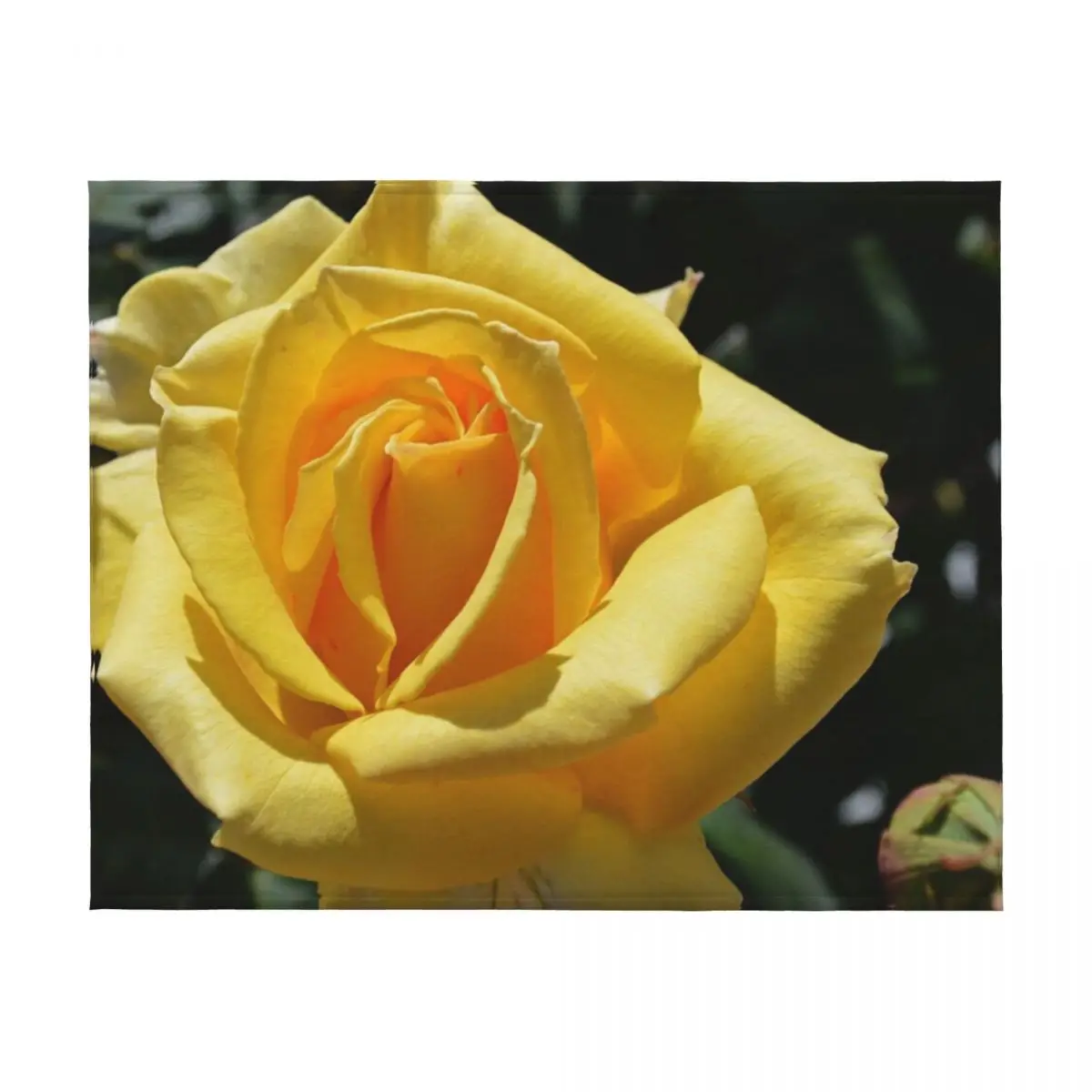 الوردة الصفراء رمي بطانية هدايا عيد الميلاد بطانيات الأربعاء لبطانيات السرير لبطانيات الأرائك