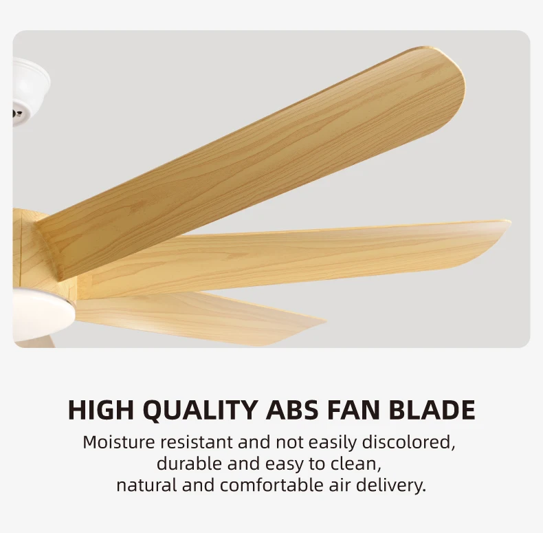 FUMANJIA 60-Inch Ceiling Fan with Light for Home – 8 Blades, Remote — detail 16