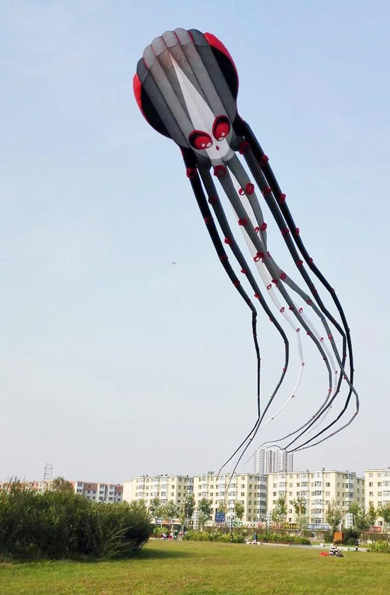 free shipping large capricorn octopus kite for adults kites parachute nylon kite surf outdoor game toys professional kite fabric