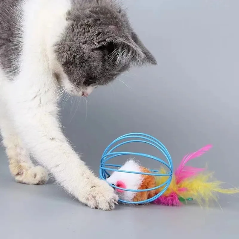 cat toy ball