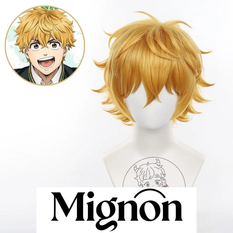 Perruque de Cosplay Yui Akiteru brise-vent Bofuri garçon cheveux courts Halloween