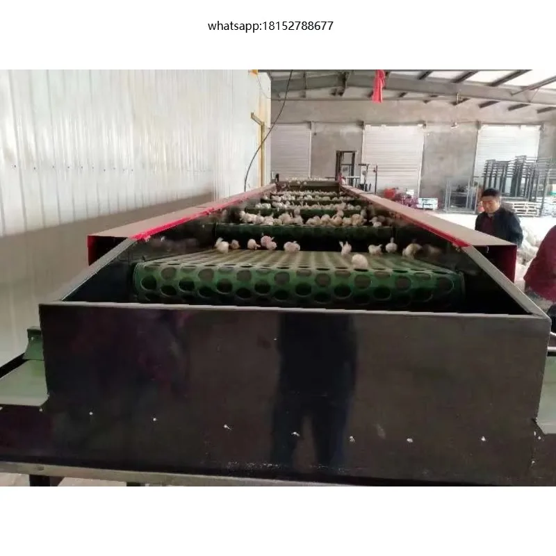 Factory Custom New Automatic Vegetable & Fruit Garlic Size Grading Sorting Machine Industrial Sizer for Sale