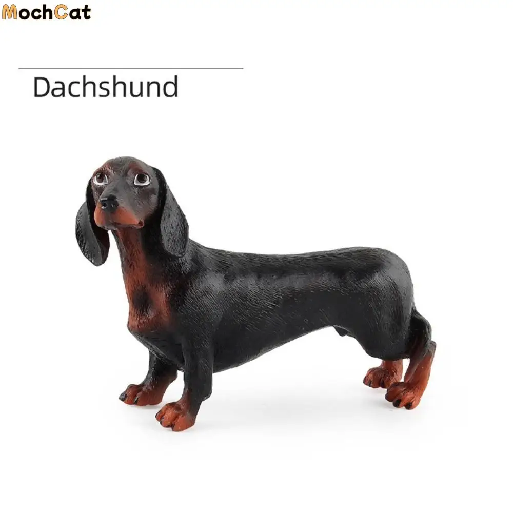 

Puppy Pet Simulation Dog Figurine Realistic Bulldog Miniature Animal Model Corgi Samoyed Home Decor