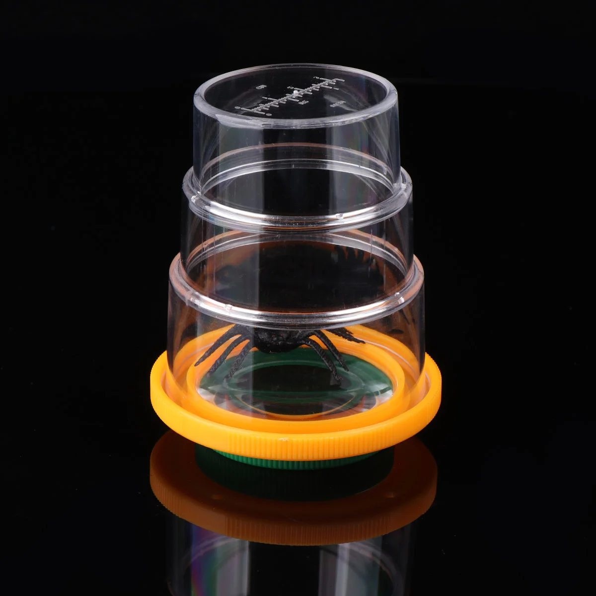 3 PCS Magnifying Viewer Children’s Toys Bug Insect for Kids Student Use Glasses