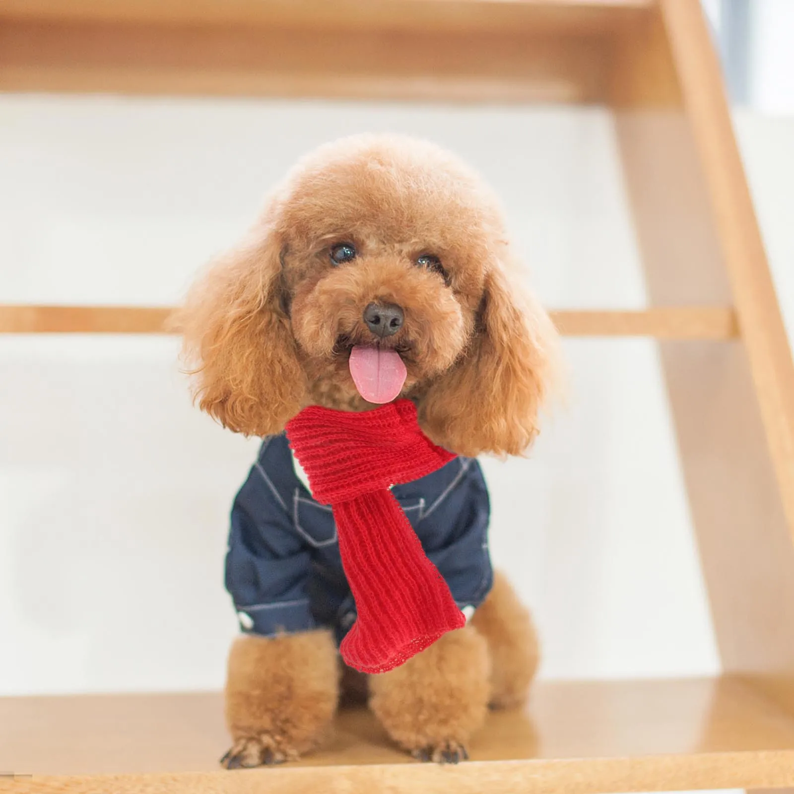 

Red Woolen Pet Dog Scarf Size M Hair Bulb Winter Scarf Warm Decoration for Small Pets Christmas Party Photo Props