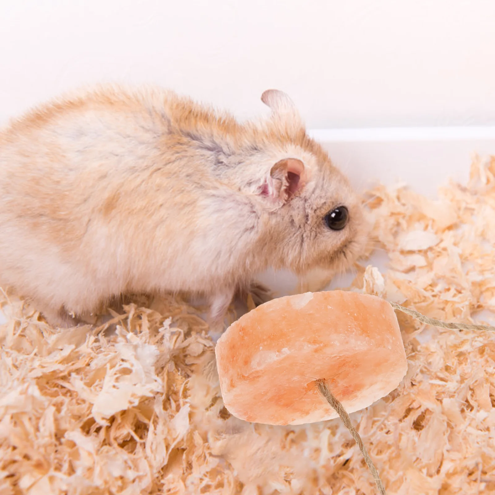 Huisdier Zout Blok Dieren Likken Hamster Supply Egel Speelgoed Likken Baksteen Mineraal Zout Konijn Blokken