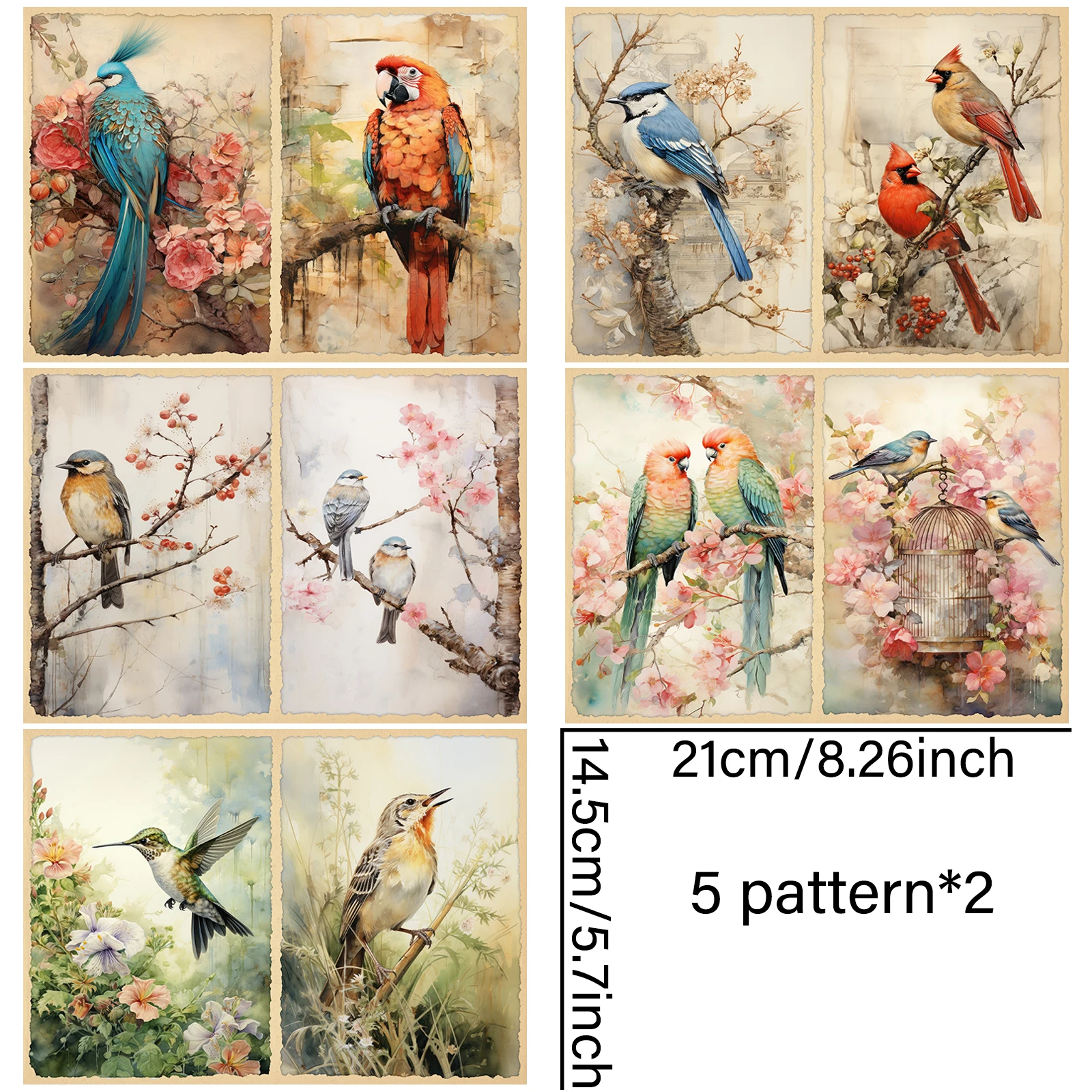 10 Sheets A5 Size Bird Animal Parrot Flowers Background Vintage Grunge Journal Planning Scrapbooking