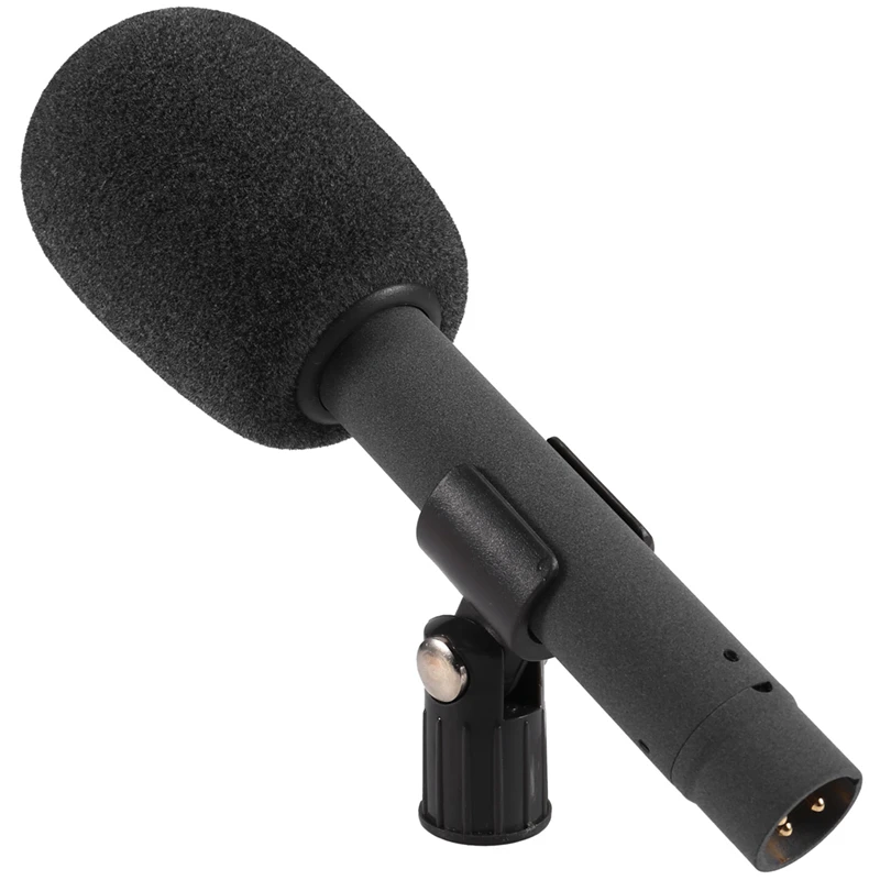 Cardioid Condenser Microphone For News Anchors, Conferences, Stages, And Choirs With Interchangeable Capsule