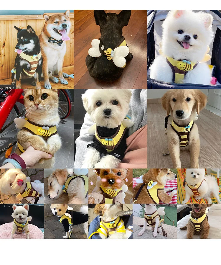 Niedliches Biene-Kätzchen-Set für Welpen und Hunde, Geschirr und Leine, weiches, atmungsaktives Hundeweste-Geschirr, Haustierkleidung für kleine Hunde, Chihuahua – Detail 6