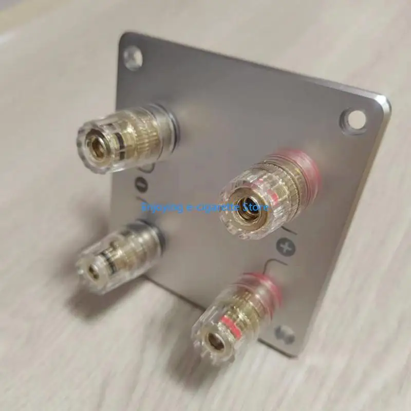 2Bit/4Bit-Lautsprecheranschlussplatte für die Reparatur von Lautsprechergehäusen, Aluminium-Rückplatte mit – Detail 5