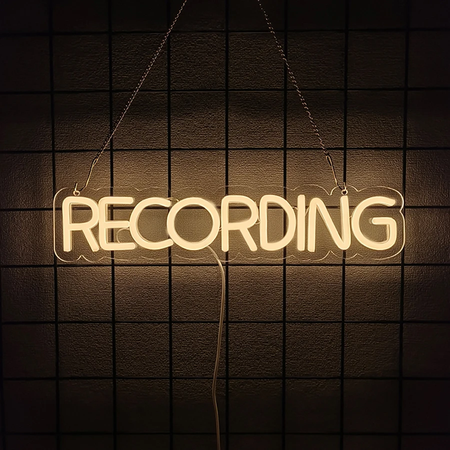 Recording Neon Sign, LED Neon Wall Hanging Sign for Studio, Music Recording Room, Remind Others Do Not Disturb, Wall Decoration
