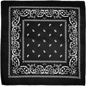 Outdoor -Radfahren 53cm Square Frauen Baumwollschal Herren Paisley Druck HipHop Bandanas Cachecis Banda Haarmaske 6 Hauptverkäufe Tritio Watch - №4