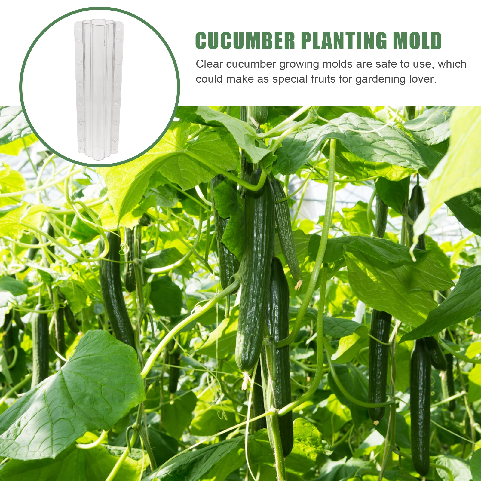 

2Pcs Cucumber Melon Mold Growing Kit Shaping Accessories Fruit Vegetable molds Storage Gardening Gifts