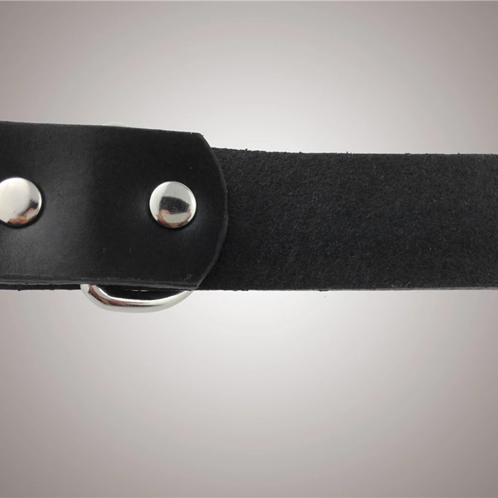 

Pet Collar Collars for Puppies Tag Halloween Dog Dogcollar Bridegroom