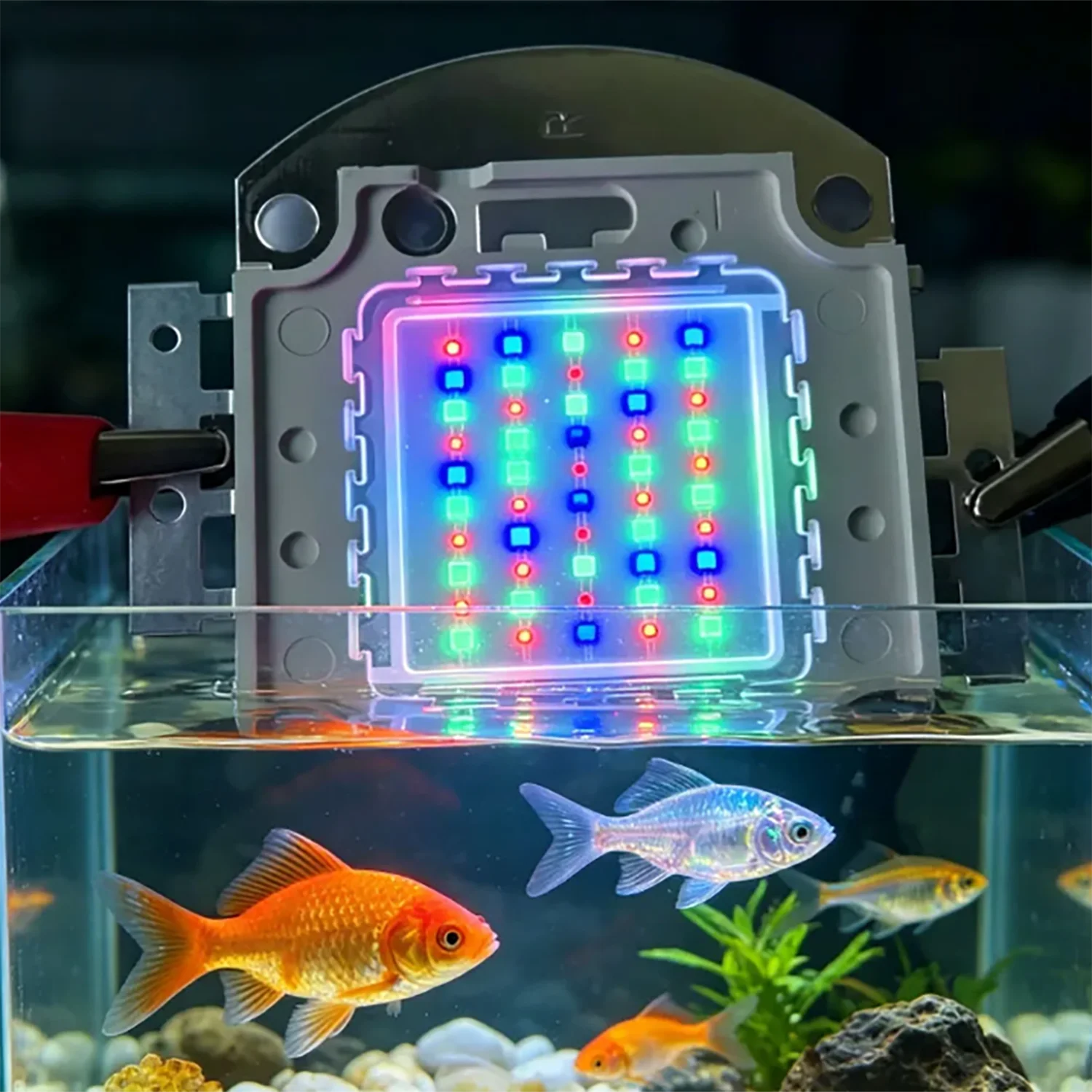 50W 60W 70W 100W RGB 26-28V High power white cayn Red Green Blue uv IR color multichip Aquarium Led Lighting marine aquarium Mul