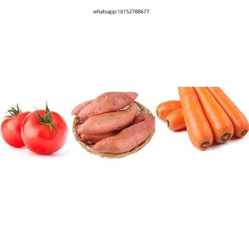 Automatic Onion Grader Fruit Grade Machine