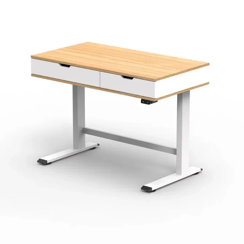 Functional Easy Assemble Ergonomic Electric Study Desk Height Adjustable Standing Desk With Drawer For School Children