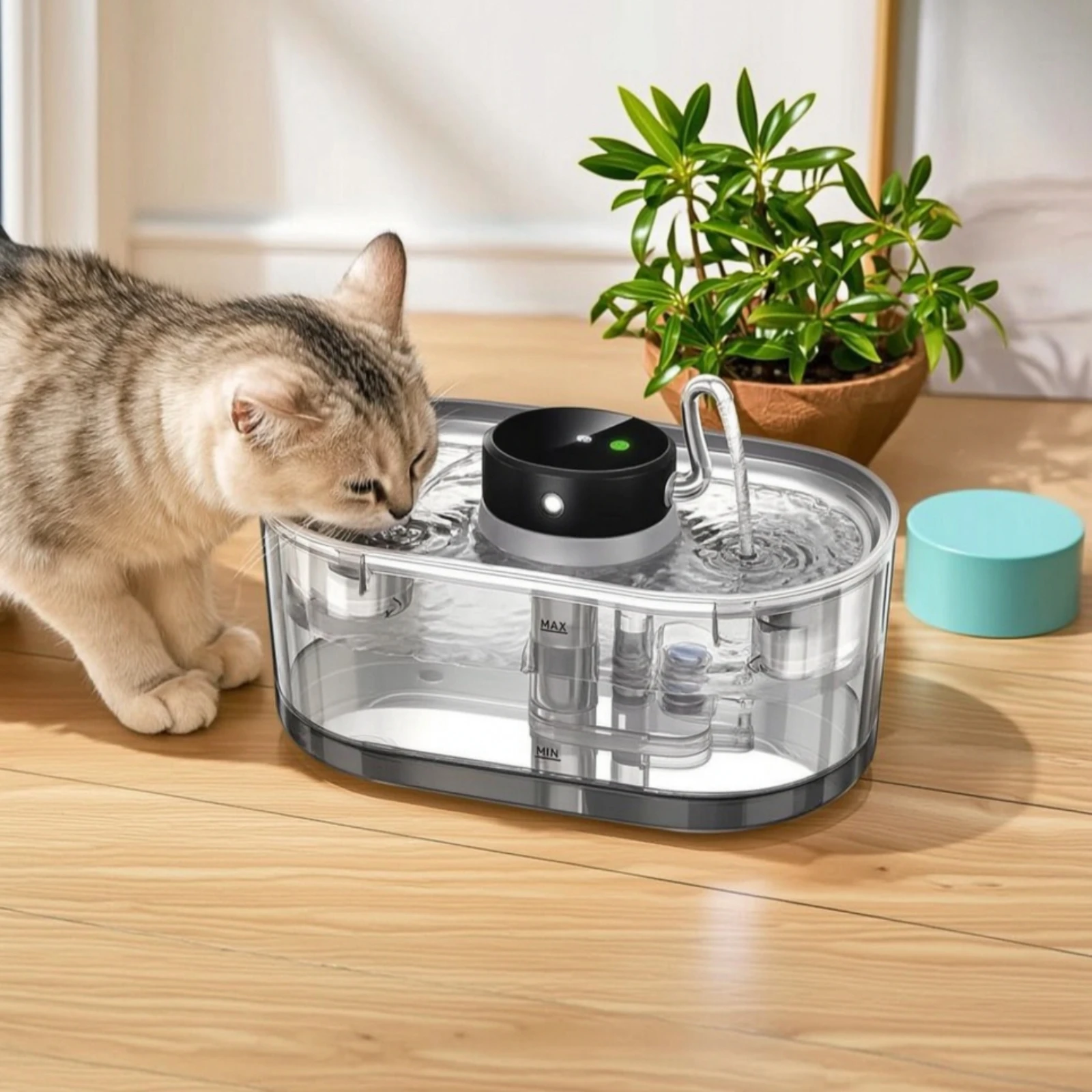 Bezprzewodowa fontanna dla kot – Pet Water Fountain recenzja i cena