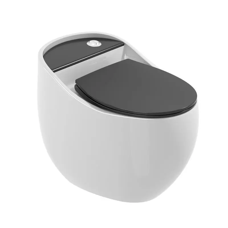 Modern European Design Sanitary Ware Ceramic Egg Shaped One-Piece Toilet Bowl Floor Mounted Luxury Toilet for Home Bathroom Use