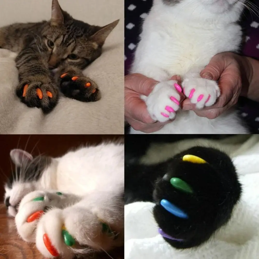 ギフトシリコン猫用ソフトネイルカバー カラフルな傷防止ペットネイルプロテクター 猫用ネイルキャップ