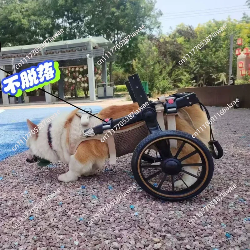 Pet wheelchair dog fractured leg lame leg weakness disabled car golden retriever labrador large dog rehabilitation assistance