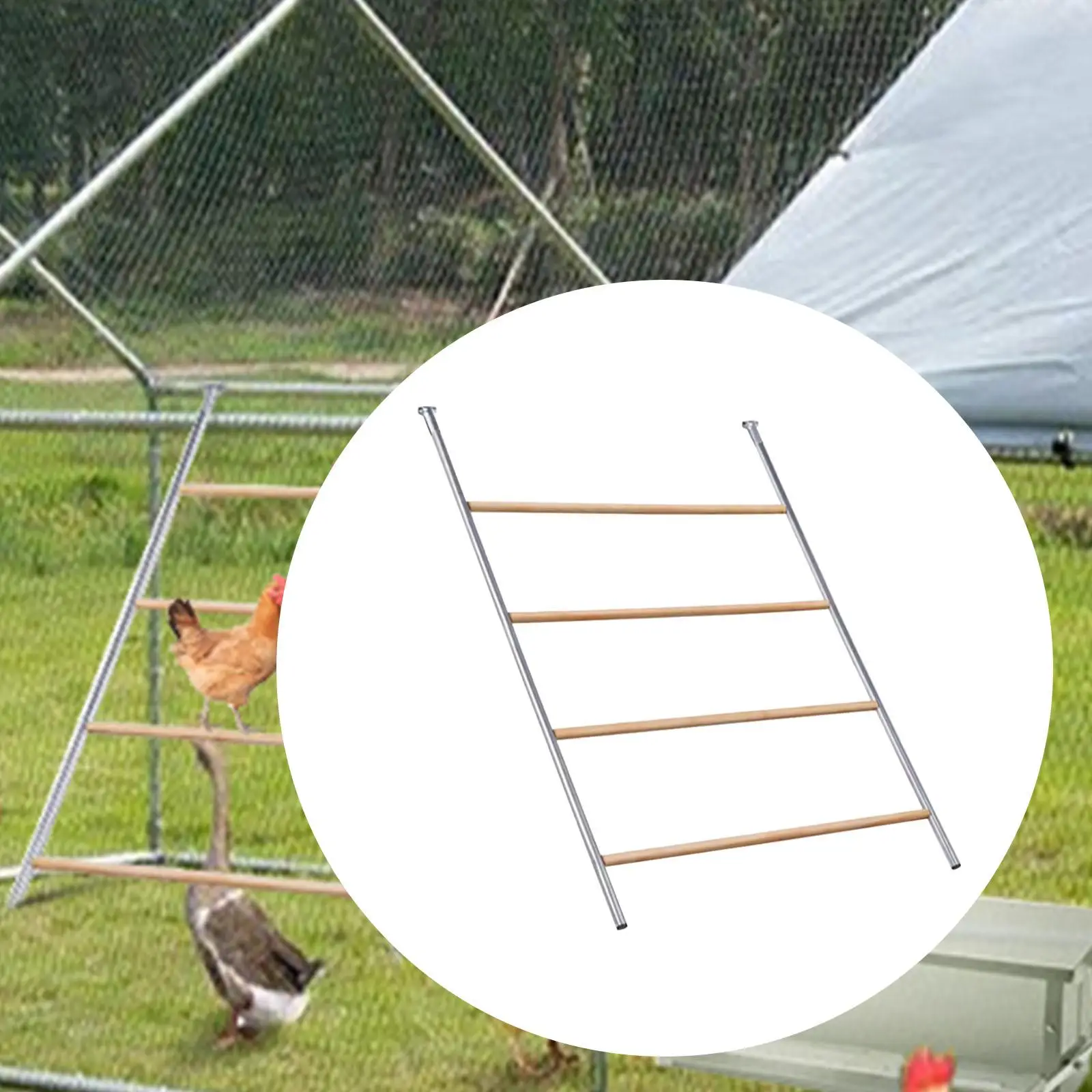 

Большая лестница для куриных отсеков, аксессуар для курятника, Большая лестница для уличной птицы, заднего двора