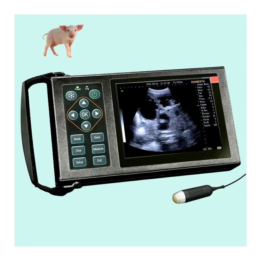 

Reusable Veterinary B Ultrasound Machine for Sheep Pig Livestock Pregnacy Test Sonar for Dog & Pet Diagnosis