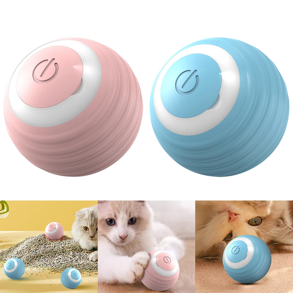 Cat Toys