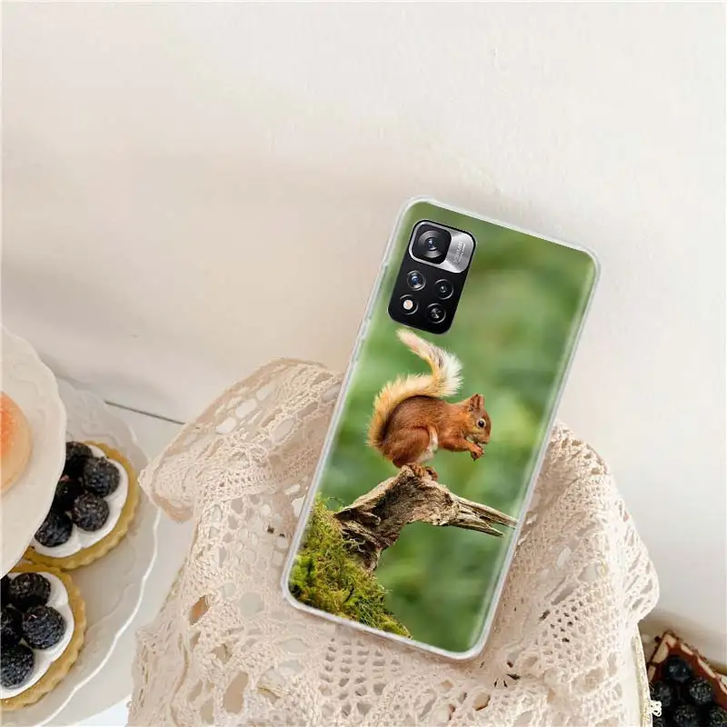 Forest Squirrels Foraging For Food Phone Case For Xiaomi Poco X3 GT X4 NFC M4 M5 M5S X6 X5 Pro 5G M3 Mi F6 F5 F4 F3 F2 F1 M2 Cap