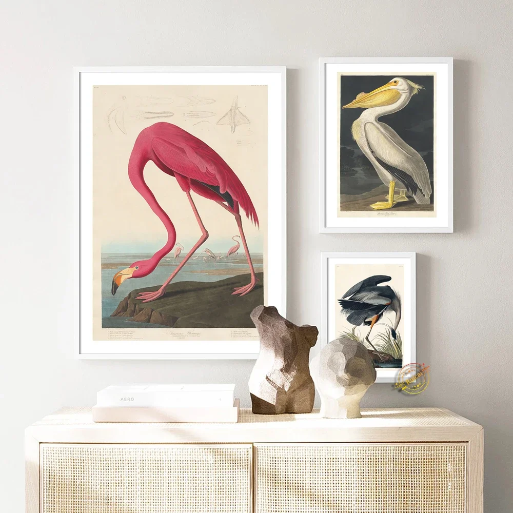 John James Audubon Flamingo Poster Modern Bird Picture Print For Living Room Bar Hotel Wall Art Home Decor Cuadros