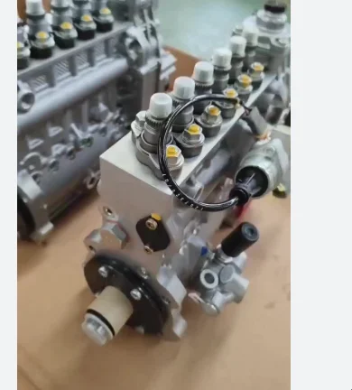 

High Quality Genuine K19/K38 Engine Fuel Pump 3094348 for Construction Machinery Parts